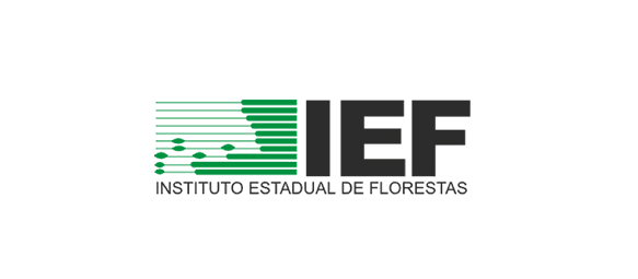 IEF
